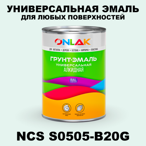 Краска цвет NCS S0505-B20G