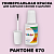 PANTONE 670 C КРАСКА ДЛЯ СКОЛОВ, флакон с кисточкой