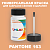 PANTONE 163 C КРАСКА ДЛЯ СКОЛОВ, полуматовая, флакон 50мл с кисточкой