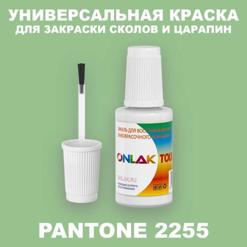 PANTONE 2255 C КРАСКА ДЛЯ СКОЛОВ, флакон с кисточкой