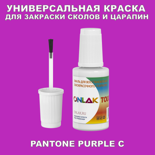 PANTONE PURPLE C КРАСКА ДЛЯ СКОЛОВ, флакон с кисточкой