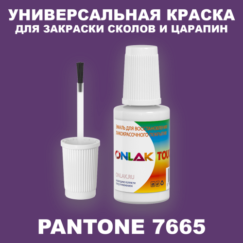 PANTONE 7665 C КРАСКА ДЛЯ СКОЛОВ, флакон с кисточкой