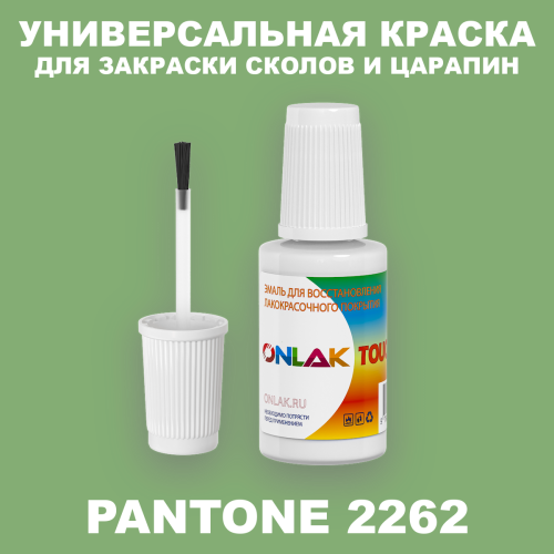 PANTONE 2262 C КРАСКА ДЛЯ СКОЛОВ, флакон с кисточкой