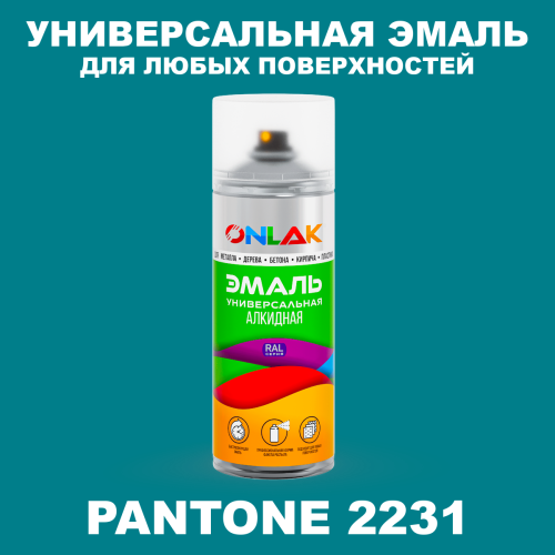 Аэрозольная краска ONLAK, цвет PANTONE 2231 C, спрей 520мл