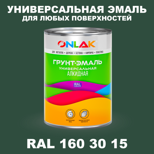 Краска цвет RAL DESIGN 1603015