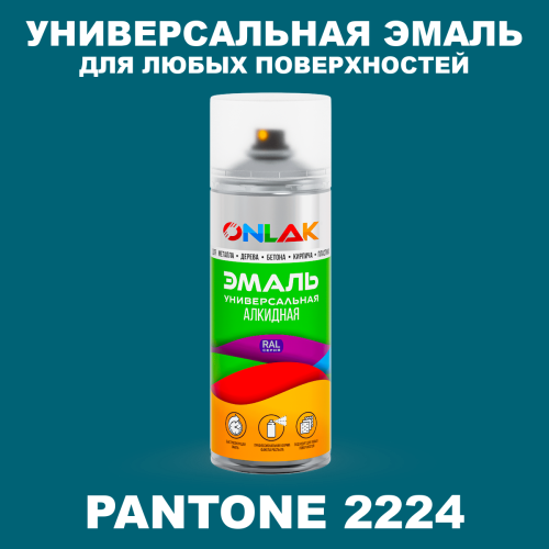 Аэрозольная краска ONLAK, цвет PANTONE 2224 C, спрей 520мл