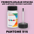 PANTONE 516 C КРАСКА ДЛЯ СКОЛОВ, полуматовая, флакон 50мл с кисточкой