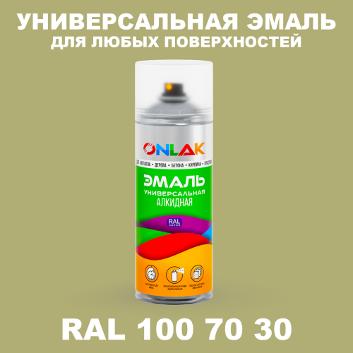 Аэрозольная краска, цвет RAL Design 1007030, спрей 520мл