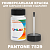 PANTONE 7529 C КРАСКА ДЛЯ СКОЛОВ, полуматовая, флакон 50мл с кисточкой
