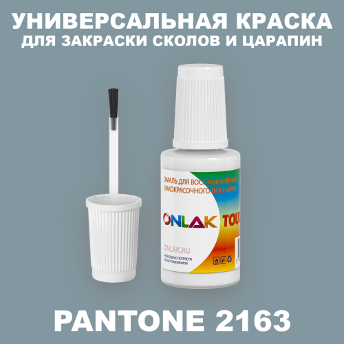 PANTONE 2163 C КРАСКА ДЛЯ СКОЛОВ, флакон с кисточкой