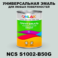 Краска цвет NCS S1002-B50G