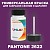 PANTONE 2622 C КРАСКА ДЛЯ СКОЛОВ, флакон 50мл с кисточкой