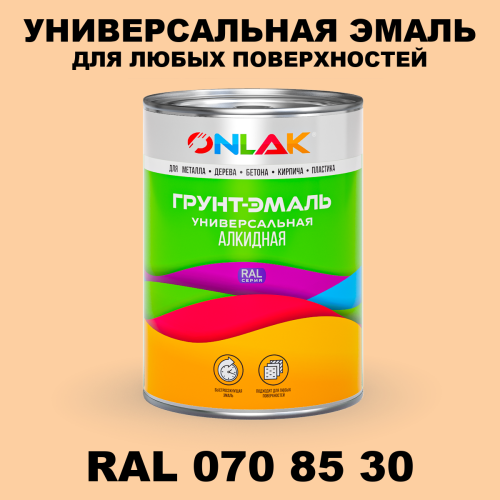 Краска цвет RAL DESIGN 708530