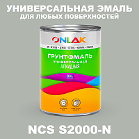Краска цвет NCS S2000-N