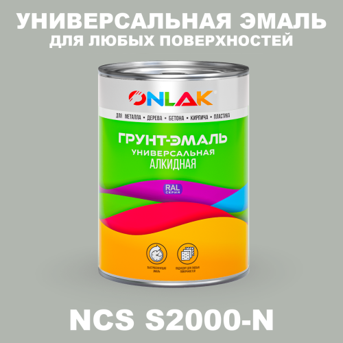 Краска цвет NCS S2000-N
