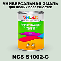 Краска цвет NCS S1002-G