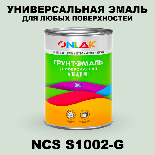 Краска цвет NCS S1002-G
