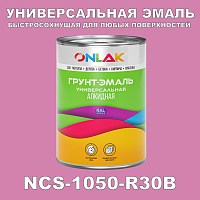 Краска цвет NCS 1050-R30B
