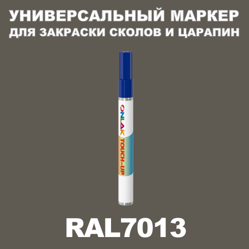 RAL 7013   