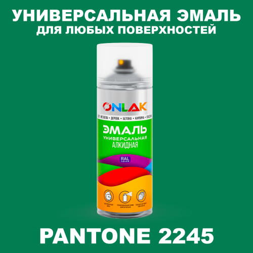 Аэрозольная краска ONLAK, цвет PANTONE 2245 C, спрей 520мл