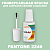 PANTONE 2246 C КРАСКА ДЛЯ СКОЛОВ, полуматовая, флакон 20мл с кисточкой