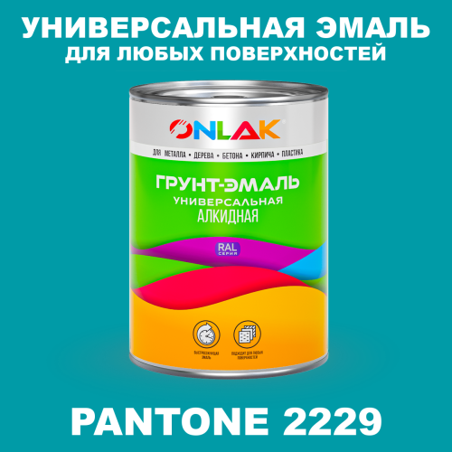 Краска цвет PANTONE 2229 C