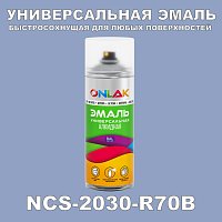 Аэрозольная краска ONLAK, цвет NCS 2030-R70B, спрей 520мл