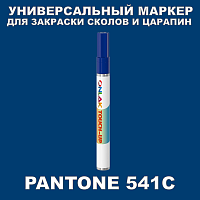 PANTONE 541C   