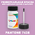 PANTONE 7438 C КРАСКА ДЛЯ СКОЛОВ, флакон 50мл с кисточкой