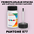 PANTONE 677 C КРАСКА ДЛЯ СКОЛОВ, флакон 50мл с кисточкой