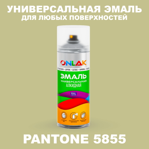 Аэрозольная краска ONLAK, цвет PANTONE 5855 C, спрей 520мл