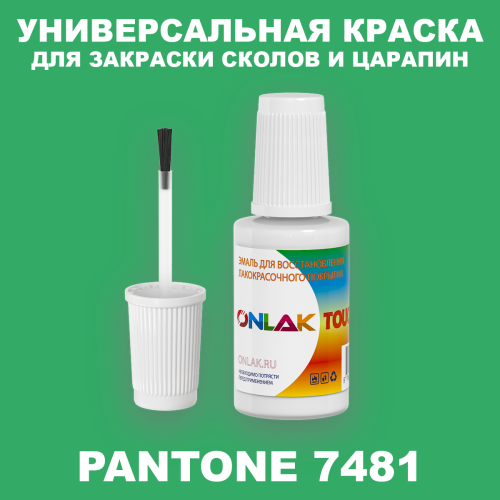 PANTONE 7481 C КРАСКА ДЛЯ СКОЛОВ, флакон с кисточкой