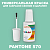 PANTONE 570 C КРАСКА ДЛЯ СКОЛОВ, полуматовая, флакон 20мл с кисточкой