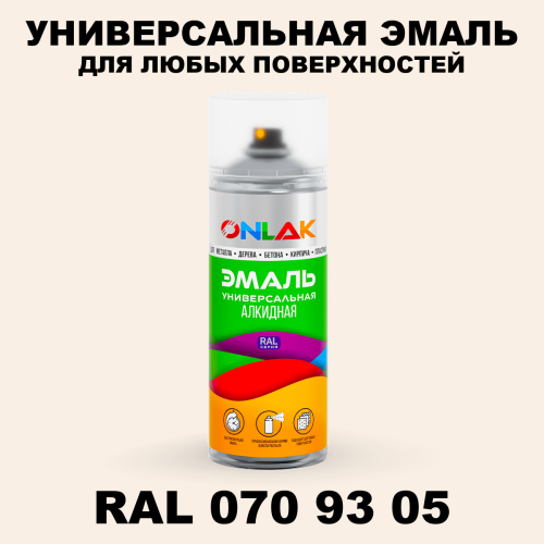 Аэрозольная краска, цвет RAL Design 709305, спрей 520мл