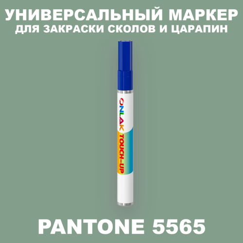 PANTONE 5565 C МАРКЕР С КРАСКОЙ