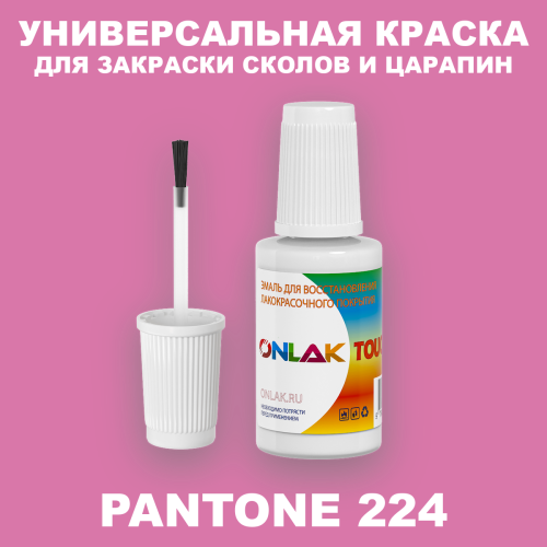 PANTONE 224 C КРАСКА ДЛЯ СКОЛОВ, флакон с кисточкой