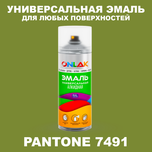 Аэрозольная краска ONLAK, цвет PANTONE 7491 C, спрей 520мл