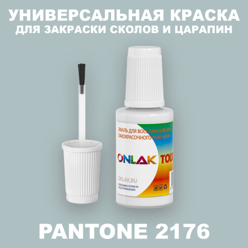 PANTONE 2176 C КРАСКА ДЛЯ СКОЛОВ, флакон с кисточкой