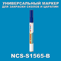 NCS S1565-B   
