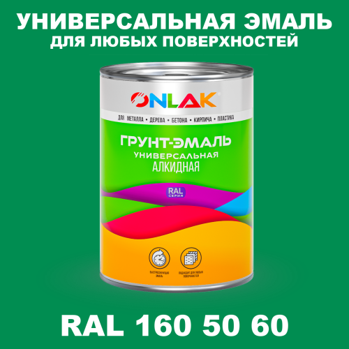 Краска цвет RAL DESIGN 1605060