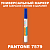 PANTONE 7579 C МАРКЕР С МАТОВОЙ КРАСКОЙ
