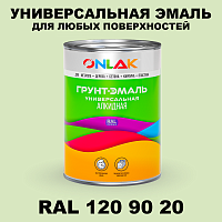 Краска цвет RAL DESIGN 1209020