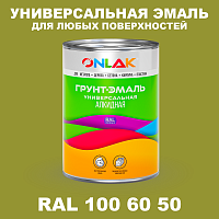 Краска цвет RAL DESIGN 1006050