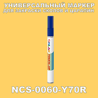 NCS 0060-Y70R   