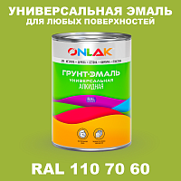 Краска цвет RAL DESIGN 1107060