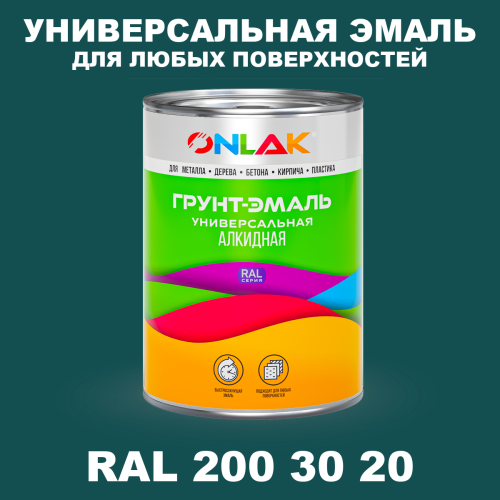 Краска цвет RAL DESIGN 2003020