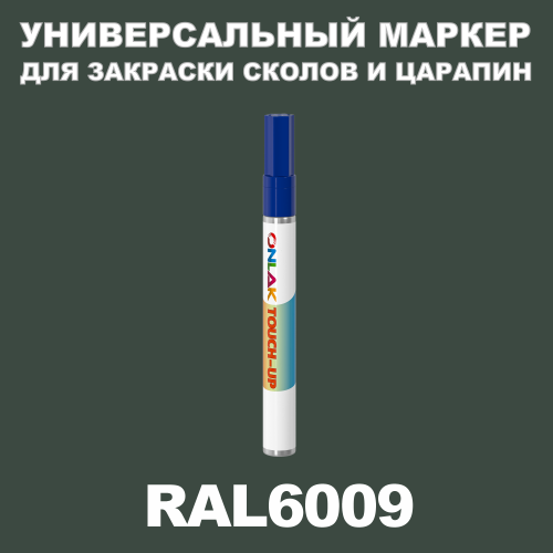 RAL 6009   