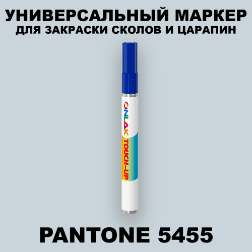 PANTONE 5455 C МАРКЕР С КРАСКОЙ