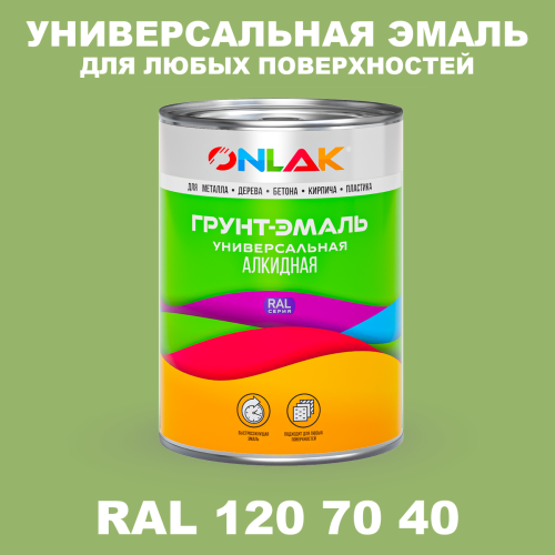 Краска цвет RAL DESIGN 1207040