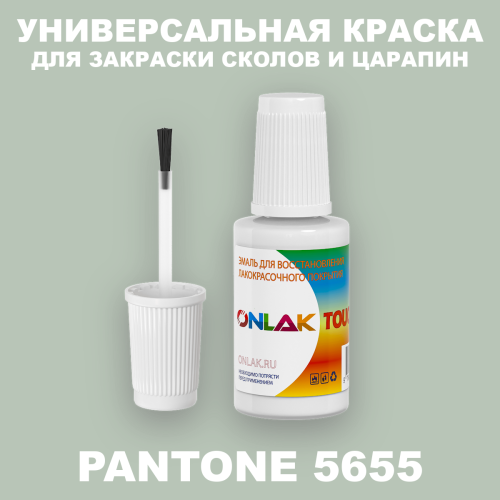 PANTONE 5655 C КРАСКА ДЛЯ СКОЛОВ, флакон с кисточкой